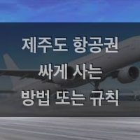 특성_제주도항공권-min