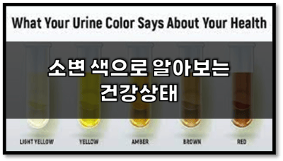 소변색으로 알아보는 질병과 건강상태 소변색 건강상태 확인 방법