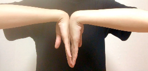 손목터널증후군 1 팔렌테스트