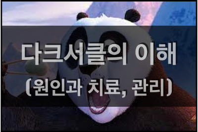 다크서클의 원인과 치료법, 관리법, 다크서클에 좋은 음식 다크서클(Dark Circle)의 이해