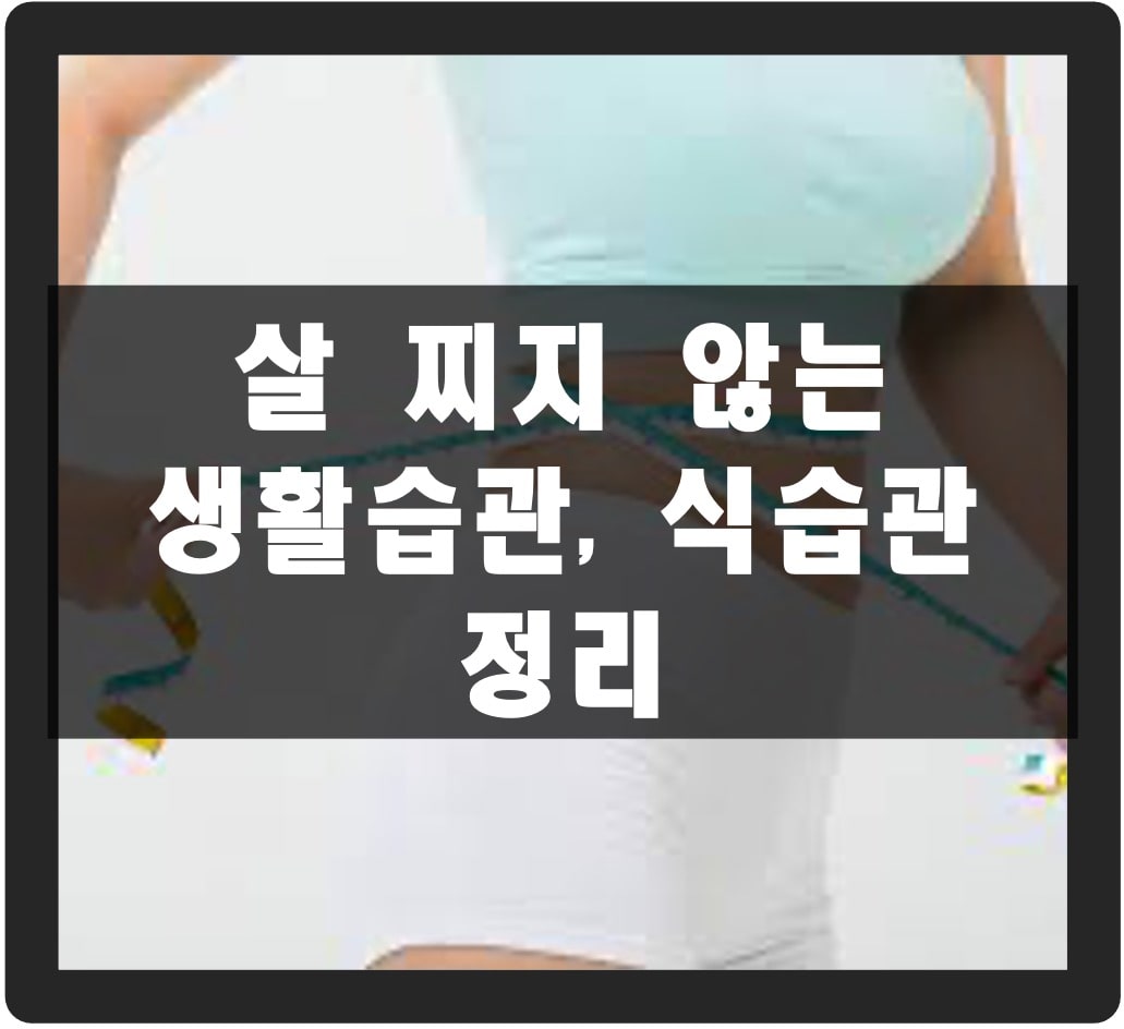 살 찌지 않는 생활습관, 식습관 모음 살찌지않는 생활습관