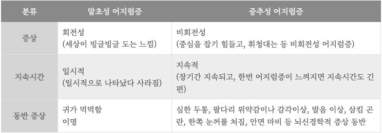 어지럼증 증상 비교표