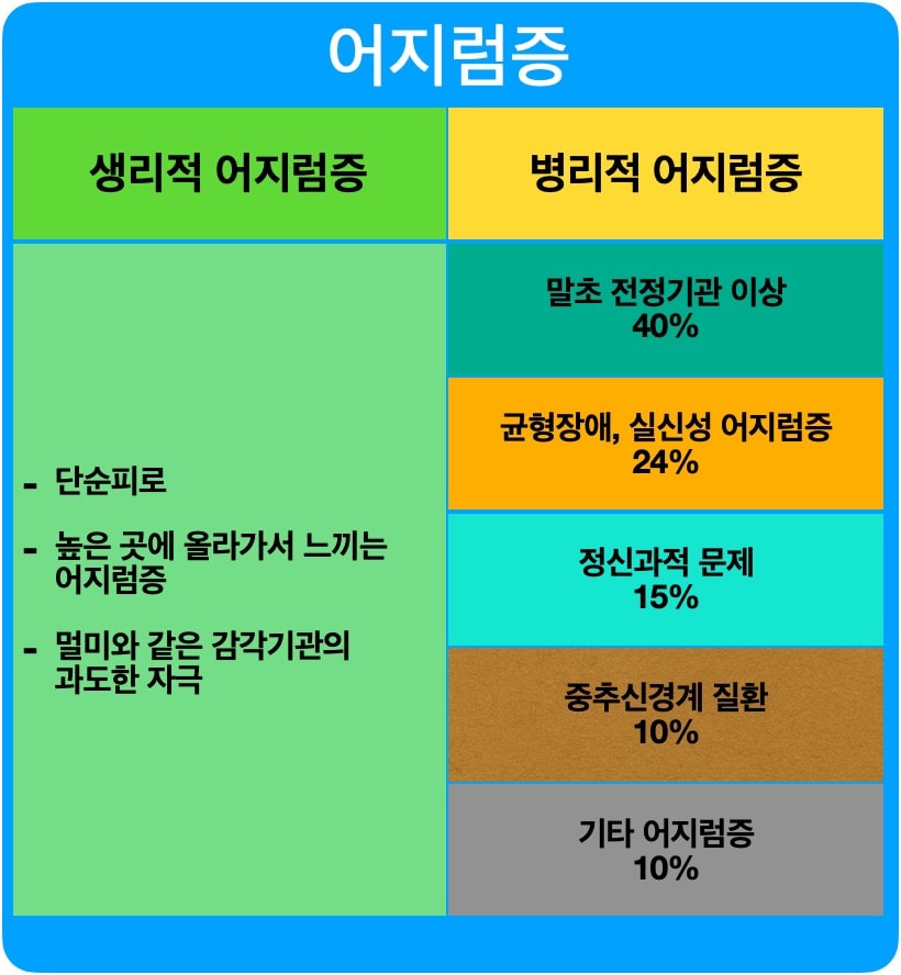 어지럼증의 원인표