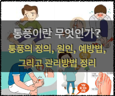 통풍(痛風)의 모든 것 : 정의, 원인, 예방 그리고 관리방법 통풍(痛風, Gout)이란