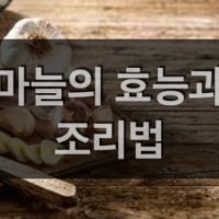 특성_마늘의 효능과 조리법