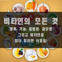 특성_비타민의 모든 것-min