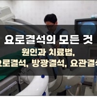 특성_요로결석