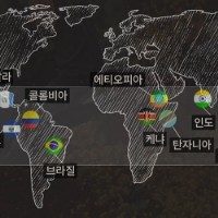 Coffee 원산지별 맛의 비밀: 콜롬비아, 에티오피아 등 주요 커피 생산지 특징 총정리