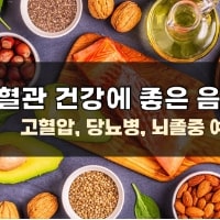 특성_혈관건강