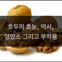 특성_호두의 모든 것-min