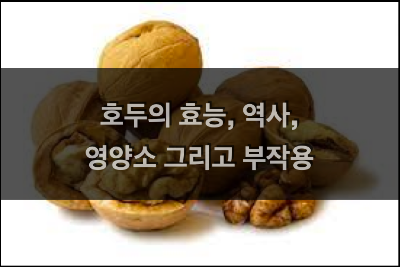 호두의 역사와 효능, 영양소와 부작용 설명 호두의 모든 것 영양 효능, 역사, 영양소, 부작용 등
