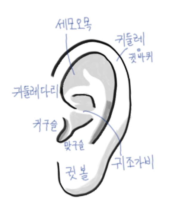 머리와 얼굴의 각 부분 명칭 (얼굴, 눈, 코, 입, 귀부분 영어 명칭 포함)