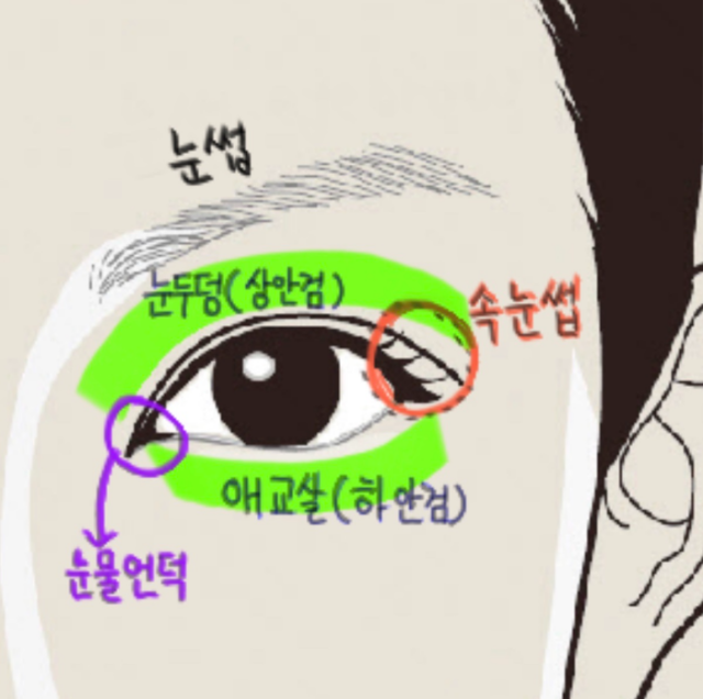 머리와 얼굴의 각 부분 명칭 (얼굴, 눈, 코, 입, 귀부분 영어 명칭 포함)
