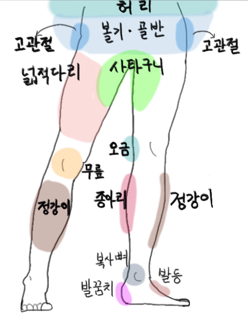 다리 전체