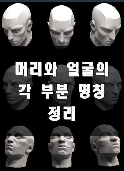 머리와 얼굴 명칭 썸네일