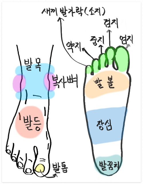 발 부분