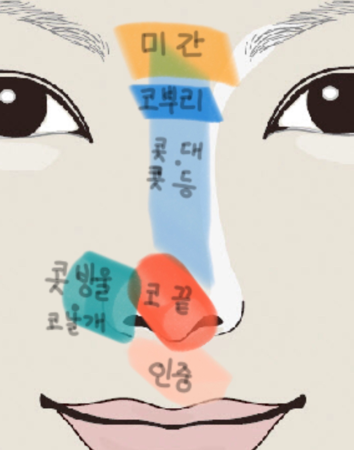 코 부분