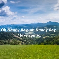특성_oh danny boy-min