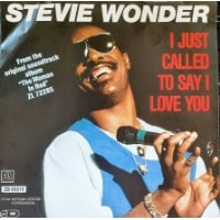 특성_stevie wonder-min