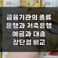 특성_금융기관의 종류