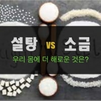 특성_설탕과 소금