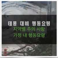 특성_태풍대비 행동요령