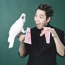 요술, 마술, 마법, 주술 그리고 도술의 정의와 차이 마술사 이은결