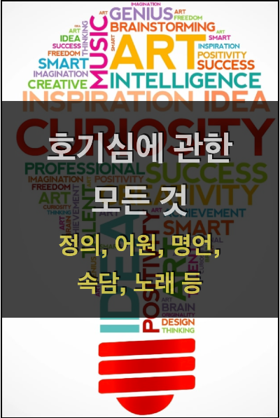 호기심