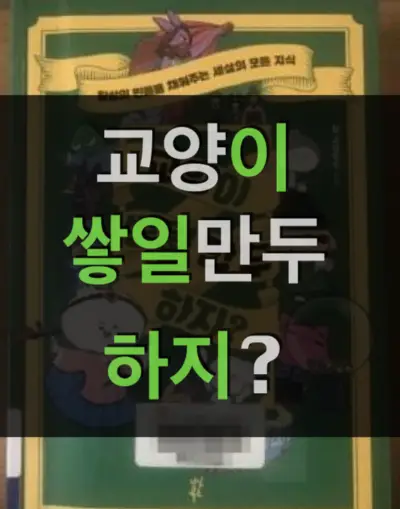 교양이 쌓일만두 하지 - 애니메이션 역사교양 유튜브
