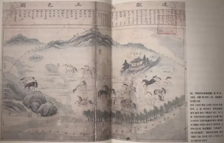 알고 보면 반할 지도 - 박물관 큐레이터가 들려주는 신비로운 고지도 이야기 목장지도