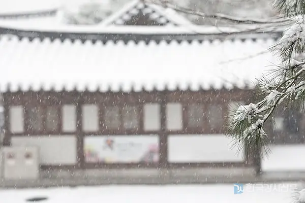 24절기 - 소설 (출처 한국강사신문)