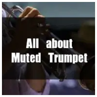 특성_all about muted trumpet