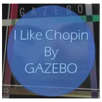 특성_i like chopin