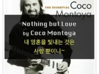 특성_nothing but love by coco montoya