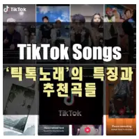 특성_tiktok songs