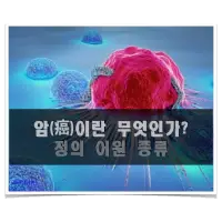 특성_암이란 무엇인가