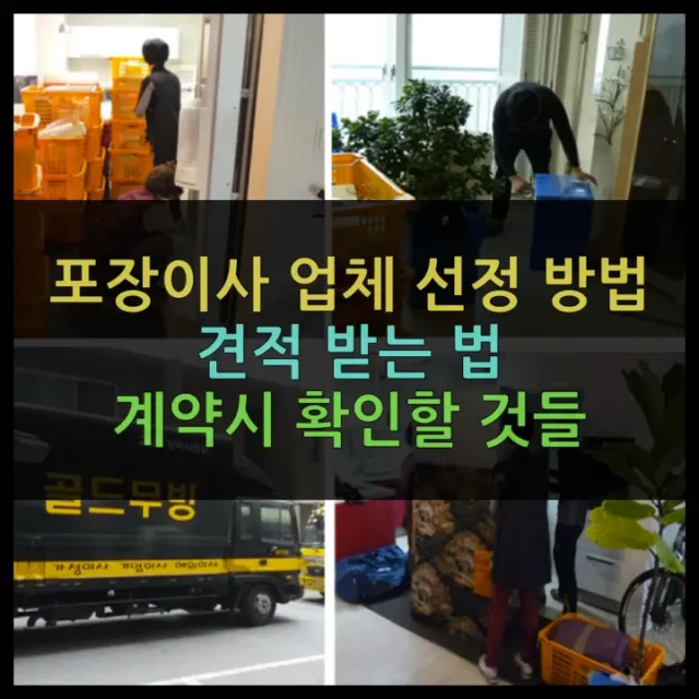 포장이사 업체선정