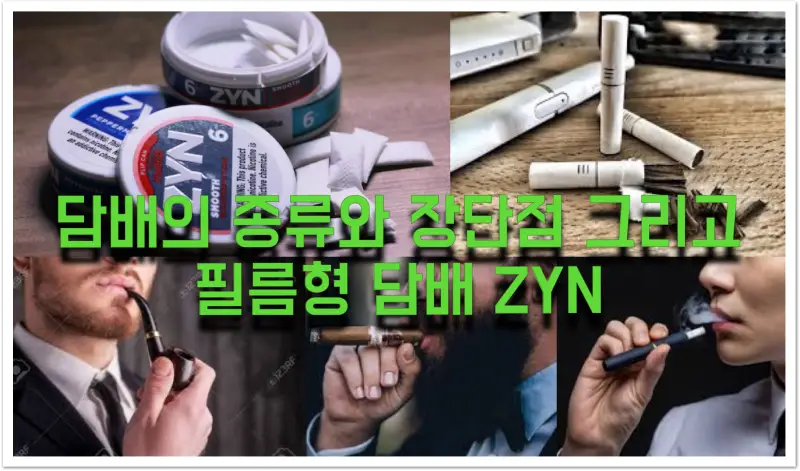 담배의 종류와 특징 그리고 ZYN