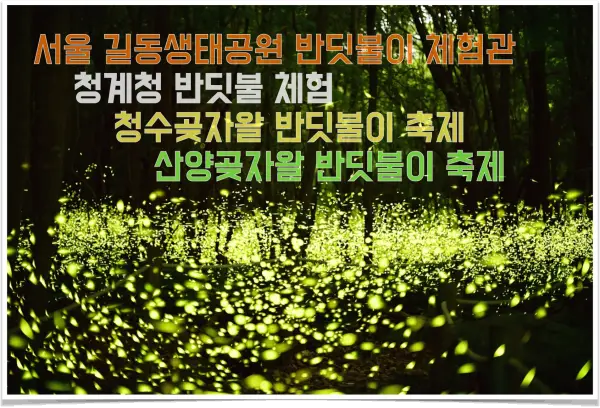 2024년 6월 서울, 제주 반딧불이 축제 일정