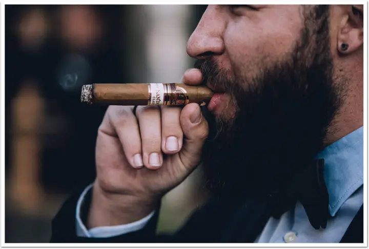 시가 담배 cigar