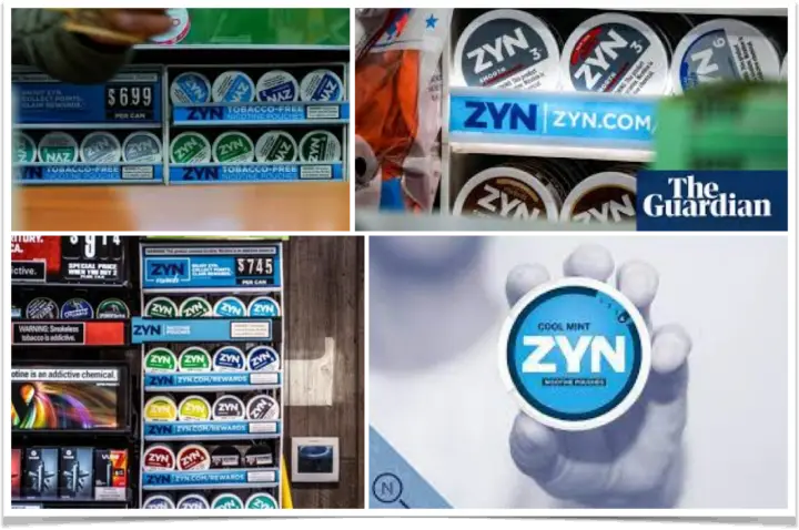 필름형 무연담배 ZYN 사진 모음