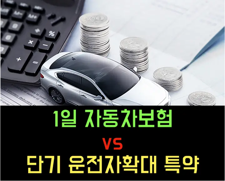 1일 자동차보험과 단기 운전자 추가 보험 차이점 정리 1일 자동차보험 단기 운전자확대 특약 비교