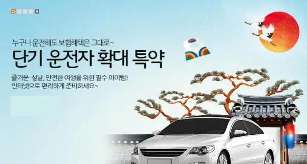 1일 자동차보험과 단기 운전자 추가 보험 차이점 정리 1일 자동차보험과 단기 운전자확대 특약