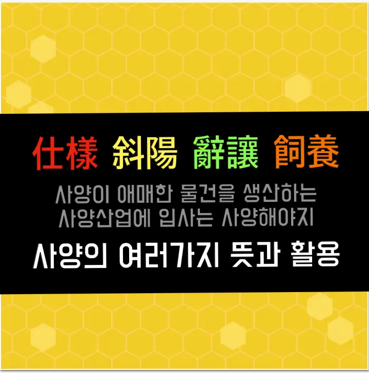 사양의 종류와 의미