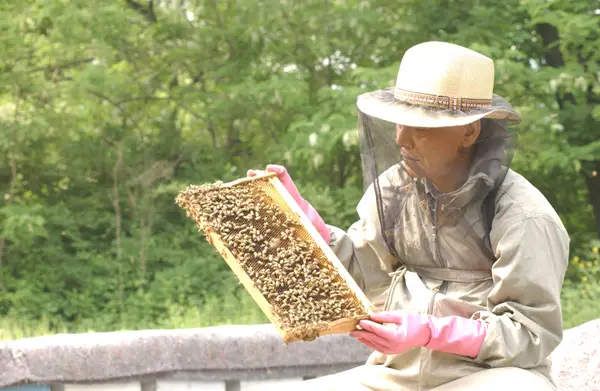 사양의 종류와 의미_사양벌꿀 축산경제신문
