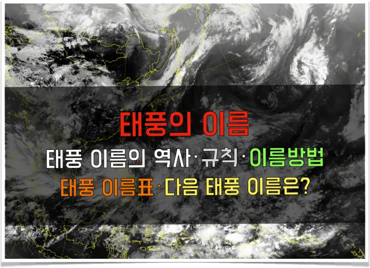 태풍의 이름