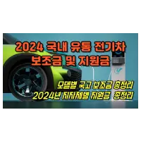 특성_전기차 보조금