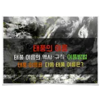 특성_태풍의 이름