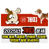 특성_2025년 개띠 운세