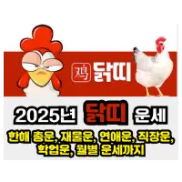 특성_2025년 닭띠 운세